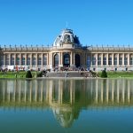 Berger Belge Tervueren