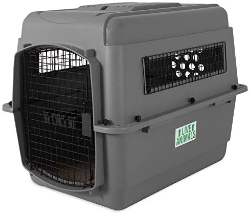 Beeztees Skykennel 3 caisse IATA pour chien moyen
