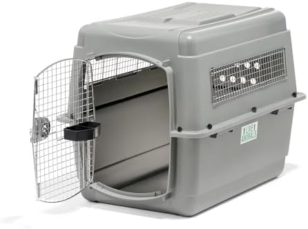 Beeztees Skykennel 4 caisse IATA pour grand chien