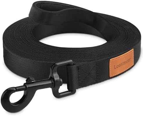 Longe de rappel 10m noire pour chien dressage