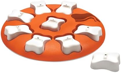 Nina Ottosson Dog Smart puzzle niveau 1 pour chien