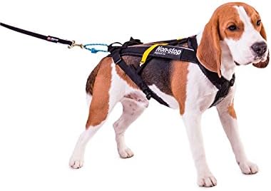 Harnais canicross Non-Stop Freemotion pour chien